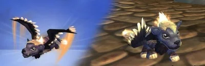 Cub Winged Guardian Guardian Cub pet Game