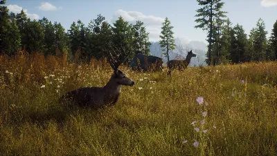 Way of the Hunter: Elite Edition Xbox Series X|S