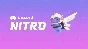 🔥 DISCORD NITRO 12 MONTH / +2 BOOST / ANY ACCOUNT🚀🔮