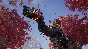 OUTRIDERS WORLDSLAYER UPGRADE STEAM•RU ⚡️AUTO 💳0%