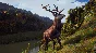 Way of the Hunter. STEAM-ключ (RU+СНГ)