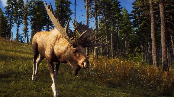 ✅❤️WAY OF THE HUNTER❤️XBOX|XS🔑KEY✅