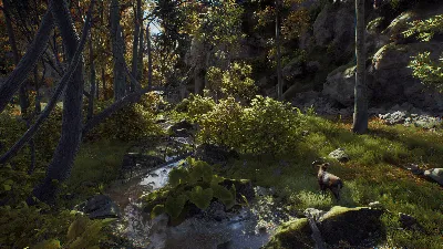 ✅❤️WAY OF THE HUNTER❤️XBOX|XS🔑KEY✅