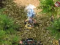 Sacred Gold (steam key)