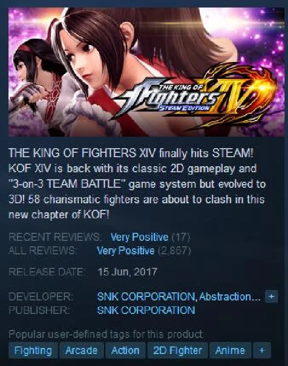 THE KING OF FIGHTERS XIV DELUXE (Steam Key GLOBAL)
