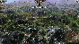 Medieval Kingdom Wars Steam Ключ Region Free 🔑 🌎