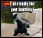 Pandaren Monk | Pandaren Monk Pet | Pet Kung Fu Panda