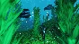 FarSky (Steam Gift Region Free / ROW)