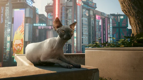 ✅Cyberpunk 2077✅СТИМ✅ПК✅ГИФТ