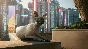 ✅Cyberpunk 2077✅СТИМ✅ПК✅ГИФТ