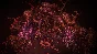 There Is No Light: Enhanced Edition 💎STEAM GIFT FOR RU