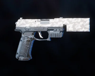 Rogue Company - Nuclear Secondary Wrap Gun Skin 💥🌐
