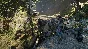 Days Gone (Steam key) RU CIS