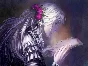 The House in Fata Morgana 💎 STEAM GIFT RU