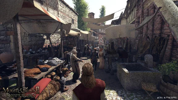 Mount & Blade II: Bannerlord | Steam Gift [Russia]