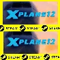⭐️ X Plane 12 - STEAM (GLOBAL)