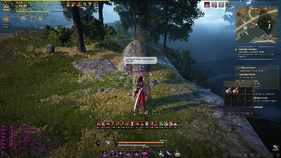 Black Desert | Steam Gift [Россия]