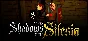 1428: Shadows over Silesia 💎 STEAM GIFT RUSSIA