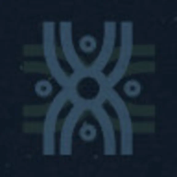 Destiny 2 Emblem Future In Shadow PC/PS/XBOX
