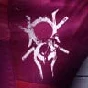 Destiny 2 Emblem Tangled Web PC/PS/XBOX