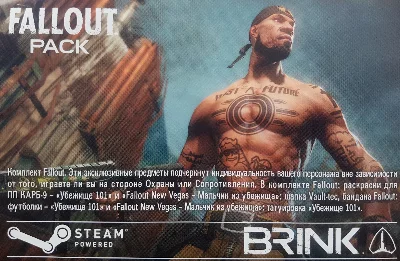 Brink +Fallout pack (Steam key)CIS