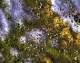 Knights and Merchants 2012 Edition (steam key)