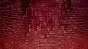 The Fridge is Red (steam key)