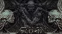 SCORN / STEAM ACCOUNT