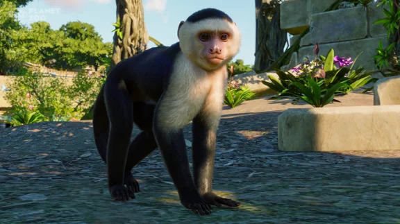 💳Planet Zoo: South America Pack Steam Key РФ+СНГ