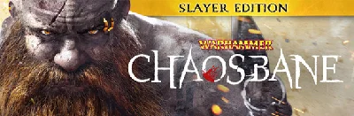 Warhammer  Chaosbane - Slayer Edition STEAM KEY + 🎁