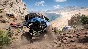 Forza Horizon Ultimate Driving Bundle steam gift