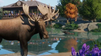 💳Planet Zoo: North America Animal Pack Steam Ключ