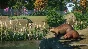 💳Planet Zoo: North America Animal Pack Steam Key + 🎁