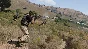 Arma 3 Tac-Ops Mission Pack - DLC STEAM GIFT РОССИЯ