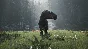 The Isle - STEAM GIFT РОССИЯ