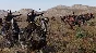 🎮Mount & Blade II: Bannerlord Digital Deluxe XBOX🔑KEY