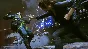 Control Ultimate Edition - STEAM GIFT RUSSIA
