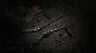 Hunt: Showdown – Fear The Reaper STEAM•RU ⚡️AUTO 💳0%