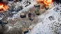 ATOM RPG Trudograd - War Supply Pack - DLC STEAM GIFT Р