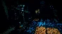 Inscryption STEAM•RU ⚡️АВТОДОСТАВКА 💳0%