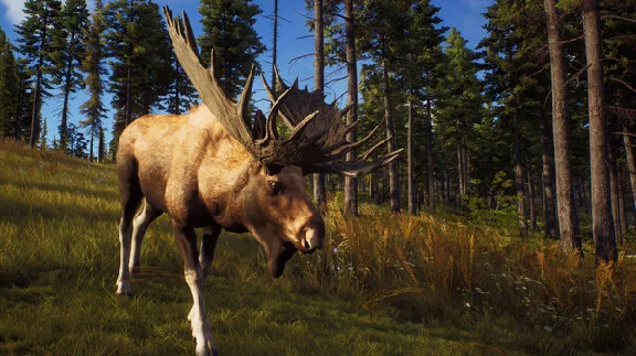 Way of the Hunter - STEAM GIFT RUSSIA