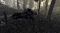 The Stomping Land STEAM Gift - Region Free