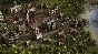 ✅Cossacks 3: Days of Brilliance Deluxe Content ⭐Steam⭐