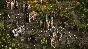 ✅Cossacks 3: Days of Brilliance Deluxe Content ⭐Steam⭐