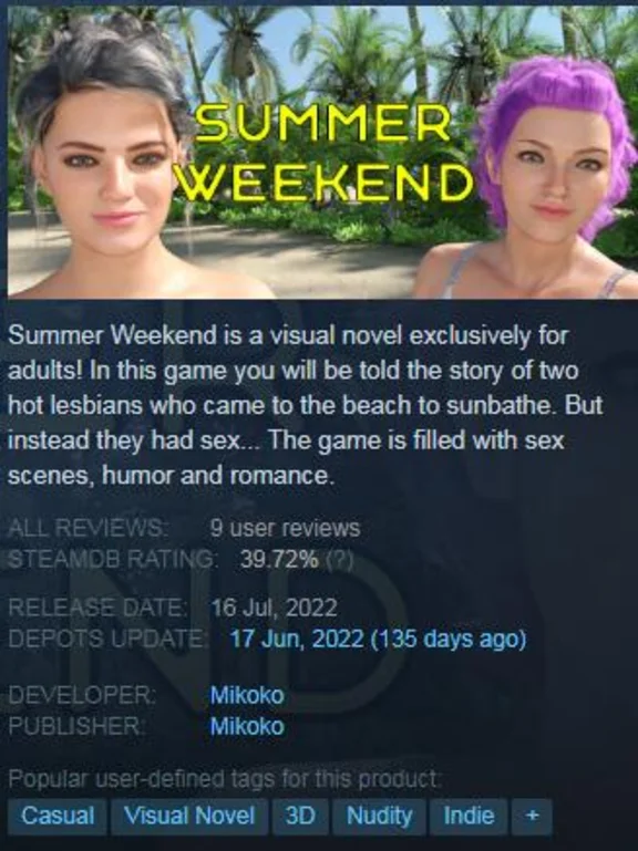 Summer Weekend (Steam Key / Global)
