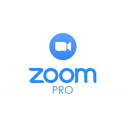 Zoom one pro  Встречаются 100 Счета