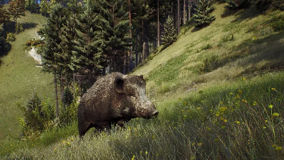 Way of the Hunter Elite Edition (steam key)
