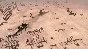 Syrian Warfare (steam key)