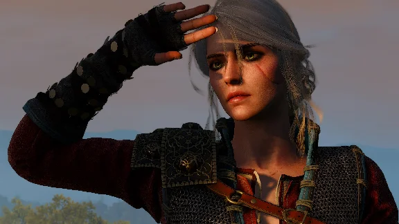 The Witcher 3 Wild Hunt  Game of the Year Edition STEAM