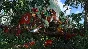 Total War: THREE KINGDOMS - The Furious Wild DLC | Stea
